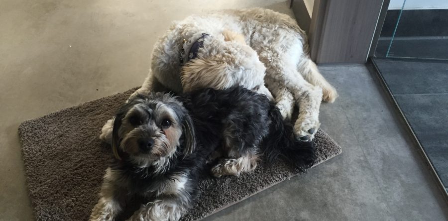 Unser Gebäudeschutz